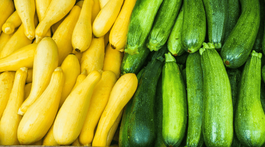 Why Zucchini and Squash Are Healthy Additions to Any Meal